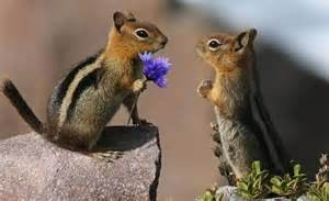 tierische Gefühle